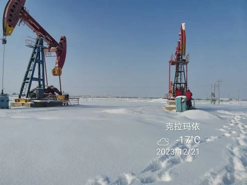 中石油案例分析现场图片