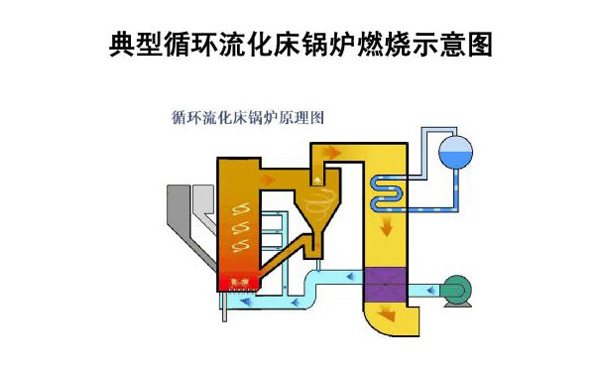 循环流化床锅炉燃烧示意图
